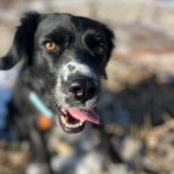 Linda   <img src='http://refugio-casas-ibanez.com/wp-content/uploads/2016/09/fahne_mini.jpg'