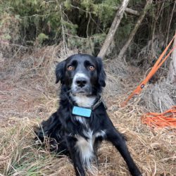 Linda   <img src='http://refugio-casas-ibanez.com/wp-content/uploads/2016/09/fahne_mini.jpg'