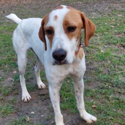 Oliver    <img src='http://refugio-casas-ibanez.com/wp-content/uploads/2016/09/fahne_mini.jpg'